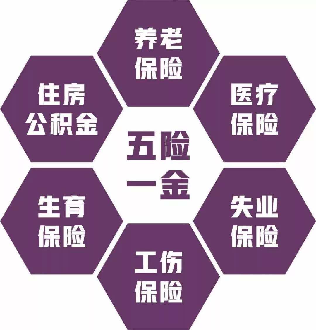 陜西社保代繳平臺(tái)